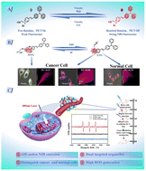 Graphical abstract: Dual-targeted and viscosity-sensitive infrared AIE photosensitizer based on tumor microenvironmental response for photodynamic cancer therapy