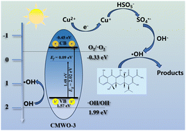 Graphical abstract: Study on the photo-assisted activation of PMS by CuMo1−xWxO4 for degradation of tetracycline