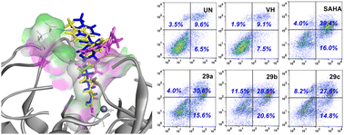 Graphical abstract: Design, synthesis and bioevaluation of novel N-heterocyclic hydroxamic acids as histone deacetylase inhibitors and their antitumor activity study