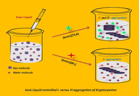 Graphical abstract: Ionic liquid-induced aggregation behavior of kryptocyanine dye