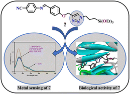 Graphical abstract: Enlightening the sensing behaviour of click-derived 1,2,3-triazole for the selective detection of zirconium(iv) and its potential ability against Kelch-Neh2 via an in silico approach