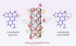 Graphical abstract: Carbon nanotube supported spherical NiFe-spinel heterostructure for sensitive electrochemical detection of aristolochic acid