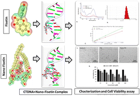 Graphical abstract: Revolutionizing fisetin's anticancer potential: nanotechnology and computational approaches unveil enhanced CT-DNA interactions and bioavailability of nano-fisetin