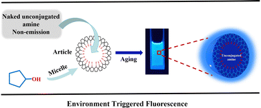 Graphical abstract: Unusual emission from non-conjugated simple amines triggered by a micelle and its influencing factors: mimicking the GFP model
