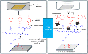 Graphical abstract: Engineered thin film nanocomposite membranes with a polyethyleneimine interlayered sulfonated MXene for superior groundwater desalination