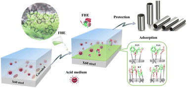 Graphical abstract: Exploration of the Funaria hygrometrica extract as an eco-friendly corrosion inhibitor for X60-steel in HCl media