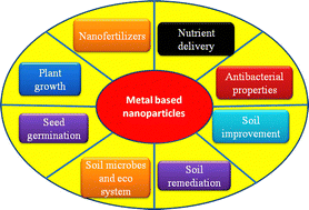 Graphical abstract: Modern agricultural breakthroughs made using metal-based nanoparticles: an environmentally friendly strategy