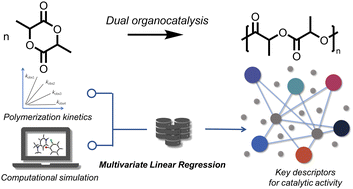 Graphical abstract: Fundamental understanding of fluorophenol-derived dual organocatalysts for ring-opening polymerization of lactide