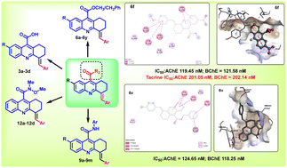 Graphical abstract: Synthesis of C4-functionalized 1,2,3,4-tetrahydroacridine-based Pfitzinger acid derivatives in deep eutectic solvents and their biological evaluation as dual cholinesterase and α-glucosidase inhibitors