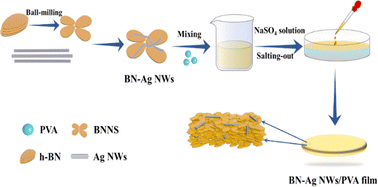 Graphical abstract: Boron nitride–Ag NWs/polyvinyl alcohol films with high thermal conductivity and excellent mechanical properties prepared via air/water interfacial assembly