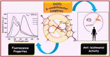 Graphical abstract: Anti-leishmanial study of discrete tetrahedral zinc(ii) β-oxodithioester complexes