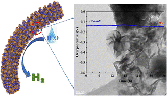 Graphical abstract: Construction of epitaxial heterogeneous interfaces of Ni-MoS2/N-doped porous carbon rods/CC for an efficient hydrogen evolution reaction