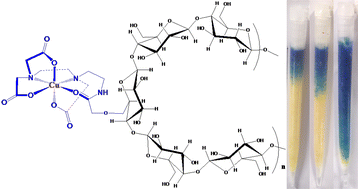 Graphical abstract: A cotton-based adsorbent grafted with an EDTA analog and its metal ion-selective absorption properties in aqueous solution