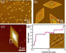 Graphical abstract: Wedding cake growth and ultraviolet performance of β-GeSe2 nanosheets
