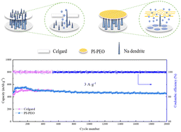 Graphical abstract: A novel modified PI separator with enhanced dendrite suppression, puncture prevention and improved size stability for room-temperature sodium–sulfur batteries
