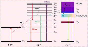 Graphical abstract: Effect of Cr3+ occupying an extremely weak crystal field on down-conversion of β-PbF2:Er3+/Yb3+/Cr3+ glass–ceramic composites
