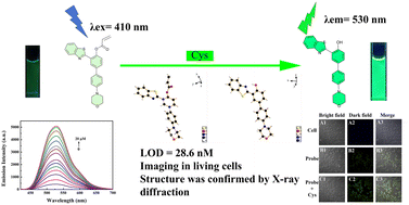 Graphical abstract: A turn-on benzothiazole-based fluorescent probe for rapid cysteine detection in living cells