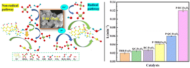 Graphical abstract: Synergy of morphology and phosphorization for enhanced peroxymonosulfate activation over magnetic Fe3O4 catalysts
