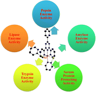 Graphical abstract: Investigation of enzyme inhibition, serum protein protective effects, and molecular docking studies of mixed-ligand ruthenium(ii) polypyridyl complexes