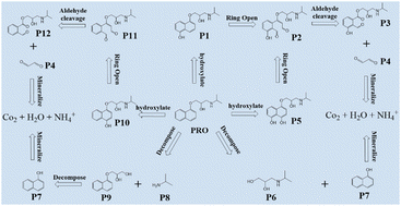Graphical abstract: Photocatalytic activity of PANI/CoAl-LDH heterojunctions towards efficient degradation of propranolol: degradation pathways and toxicity assessment