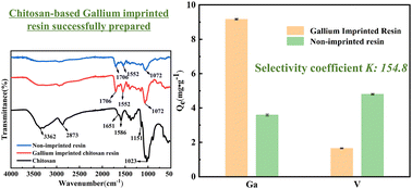 Graphical abstract: Selective gallium adsorption and recovery from Bayer mother liquor using a chitosan-based gallium-imprinted resin