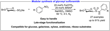 Graphical abstract: Modular synthesis of glycosyl sulfonamide via reductive coupling of glycosyl sulfinate and nitroarene