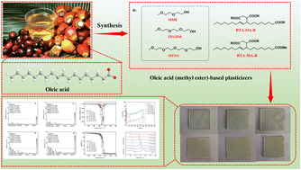 Graphical abstract: A highly efficient bio-based plasticizer constructed from renewable oleic acids for plasticizing and enhancing the properties of polylactic acid