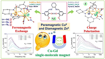 Graphical abstract: Impact of paramagnetic CuII and diamagnetic ZnII ions on single-molecule magnetism in heterodinuclear 3d–4f complexes displaying slow relaxation of magnetization