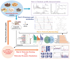 Graphical abstract: Systematic analysis of the material basis and potential mechanism of Banxia Houpo Decoction against chronic pharyngitis based on chemical and metabolite profile characterization combined with network pharmacology