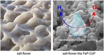 Graphical abstract: Salt-flower-shaped FeP–CoP catalyst for highly efficient bifunctional hydrogen and oxygen evolution