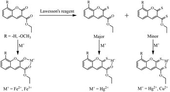 Graphical abstract: Synthesis of thiocarbonyl analogues of colourimetric coumarin-based chemosensors: altering the selectivity from Fe to Hg(ii) and Cu(ii) ions