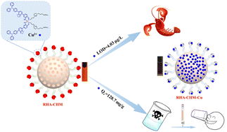 Graphical abstract: Fabrication of efficient surface ion-imprinted materials based on rice husk ash for Cu2+ ion detection in crayfish and Cu2+ ion adsorption from tap water