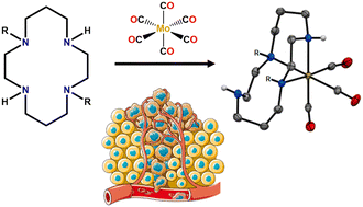 Graphical abstract: Cyclam-based molybdenum carbonyl complexes as a novel class of cytotoxic agents