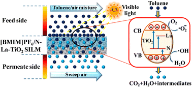 Graphical abstract: Removal of volatile organic compounds using a membrane catalytic process involving a [BMIM]PF6 ionic liquid membrane and visible light-driven N–La–TiO2 photocatalysts