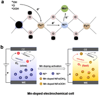 Graphical abstract: Mn doping induced electronic modulation of self-supported NiFe layered double hydroxides for oxygen evolution reaction