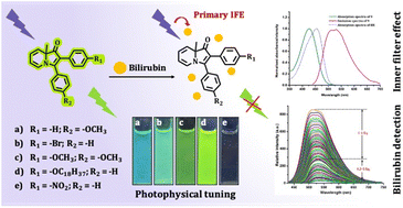 Graphical abstract: Substituent-regulated photophysical properties of 8a-methyl-2,3-diphenylindolizin-1(8aH)-one derivatives and their application in the detection of bilirubin in blood and urine