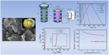 Graphical abstract: Electrochemical impedance model-assisted optimization of biomass hierarchical porous carbon electrodes for supercapacitors