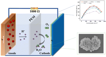 Graphical abstract: A one-step hydrothermal method for novel Cu–Co bimetallic sulfides to improve the power performance of microbial fuel cells