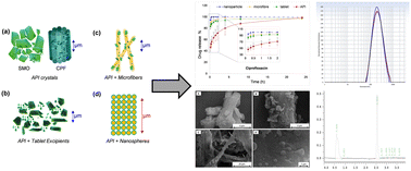 Graphical abstract: Assessment of the utility of chitosan nanoparticles and microfibers in drug delivery applications of sulfamethoxazole and ciprofloxacin