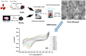 Graphical abstract: Structural, morphological, and electrocatalytic investigations of Fe3O4-doped Mn3O4 composite supported on carbonaceous materials derived from chitosan for oxygen reduction reaction