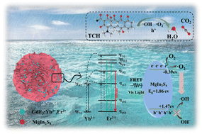 Graphical abstract: Degradation of tetracycline hydrochloride by near-infrared light-responsive 0D/3D GdF3:Yb3+,Er3+/MgIn2S4 upconversion photocatalysts
