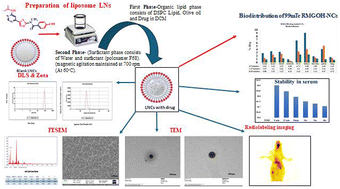 Graphical abstract: Targeted delivery of mGluR1 ligand RMGOH via lipid nanoparticles: a novel approach for enhancing CNS drug accessibility
