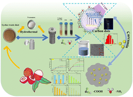 Graphical abstract: Nitrogen doping on fluorescent carbon dot nanoparticles synthesized from lychee exocarps for applications in UV tube down-conversion and pH-responsive curcumin delivery