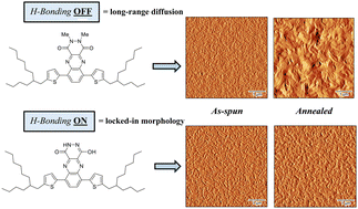 Graphical abstract: Diagnosing the role of hydrogen bonding in the organization, aggregation, and optical properties of phthalhydrazide-functionalized molecules in solution and solid state