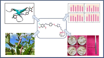 Graphical abstract: Elucidating the plant growth potential of triazole conjoined silatrane on Cajanus cajan and its in silico approach