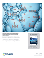 Graphical abstract: Back cover