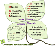 Graphical abstract: Terpenoids of plants from Chloranthaceae family: chemistry, bioactivity, and synthesis