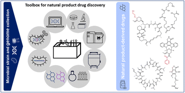 Graphical abstract: Scaling up for success: from bioactive natural products to new medicines