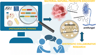 Graphical abstract: Antarctic bacterial natural products: from genomic insights to drug discovery