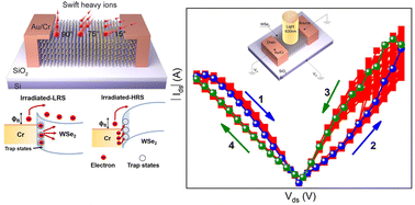 Graphical abstract: Schottky barrier reduction on optoelectronic responses in heavy ion irradiated WSe2 memtransistors